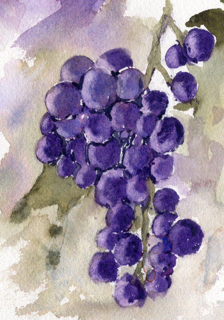 Daniel Smith Imperial Purple: Painting Grapes and Eggplants