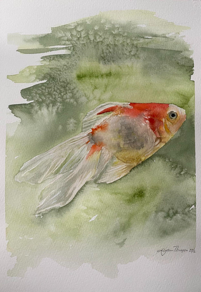 January S Featured Mentor Paint A Goldfish With Artist Mirjam Thomsen   Image 6 706x1024 